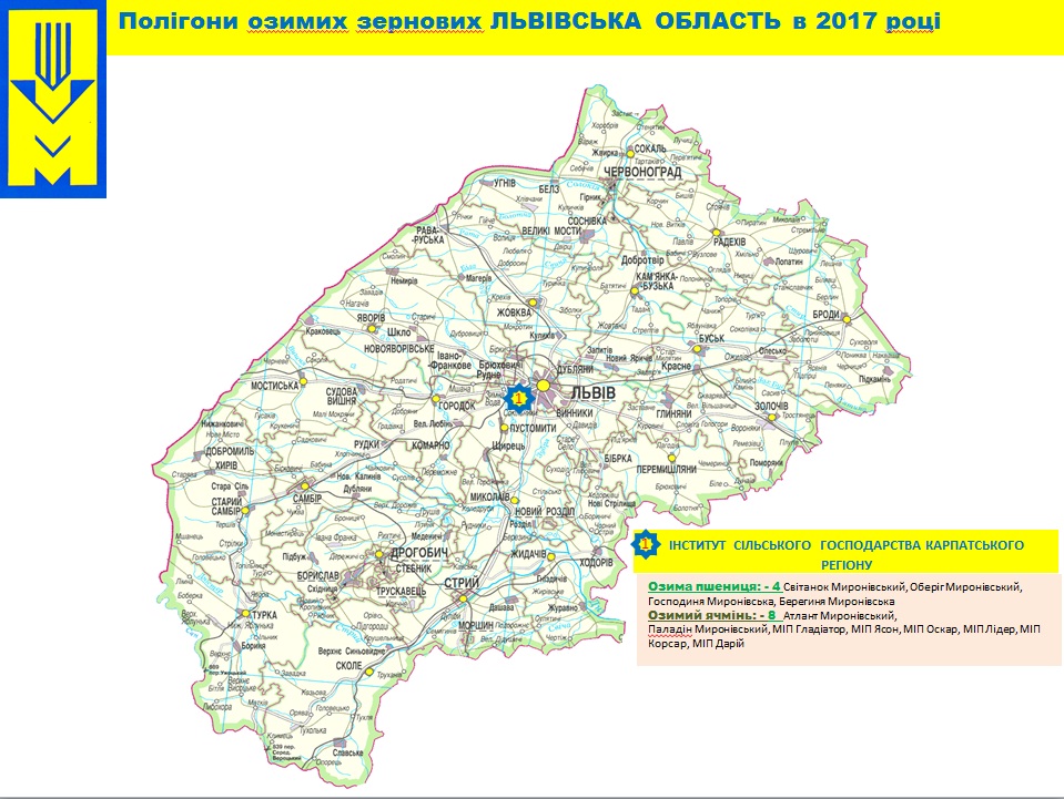 lvivska