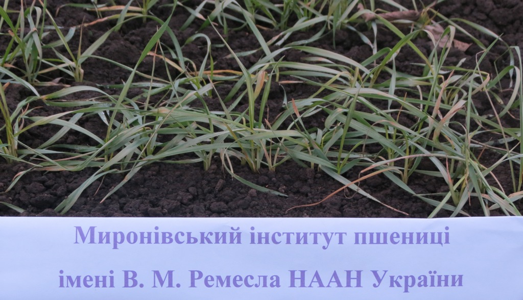 zastavka