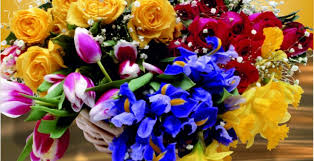 images 1