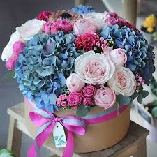 images 1