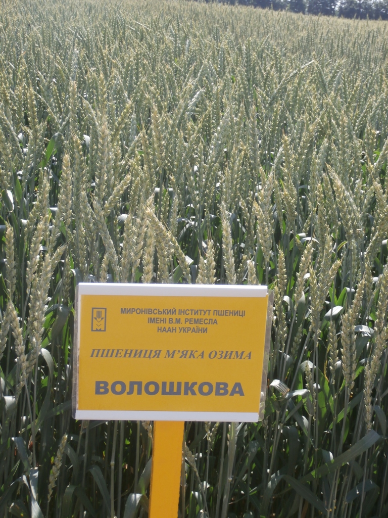 P6150071