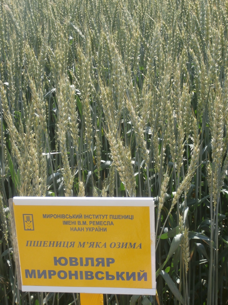 P6150075