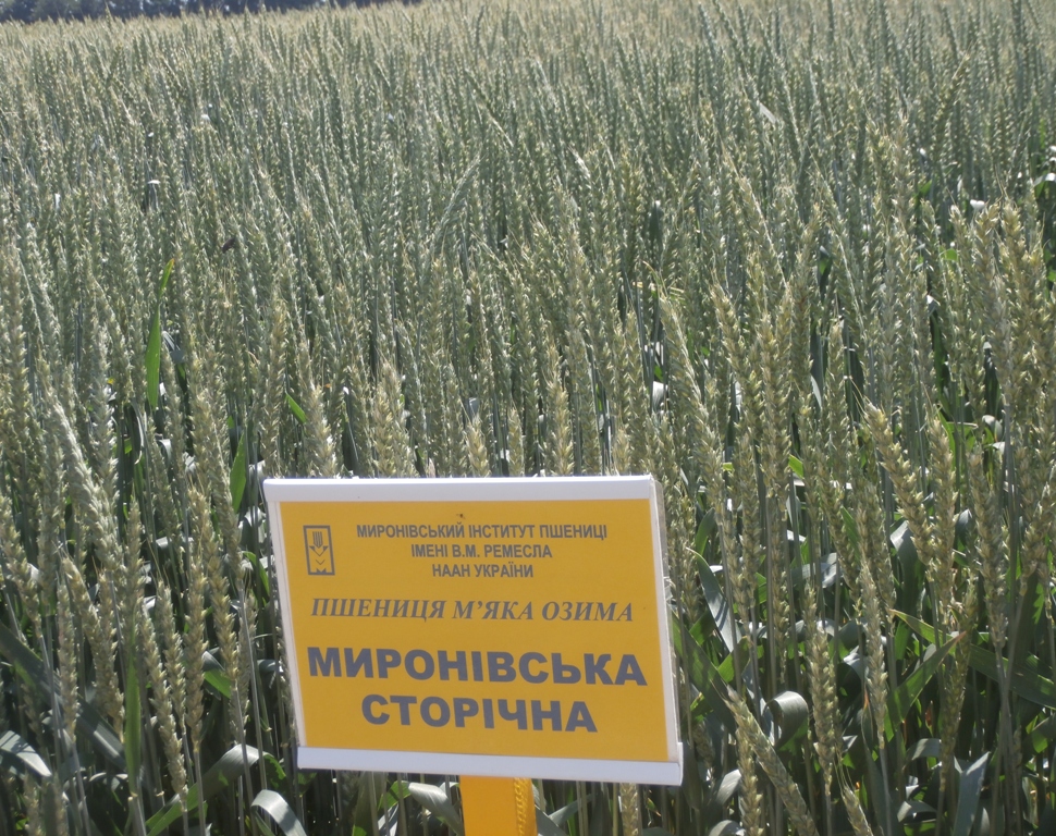 P6150078