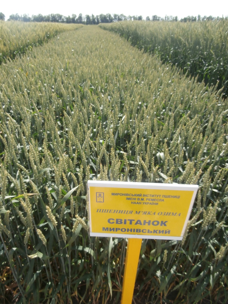 P6150086