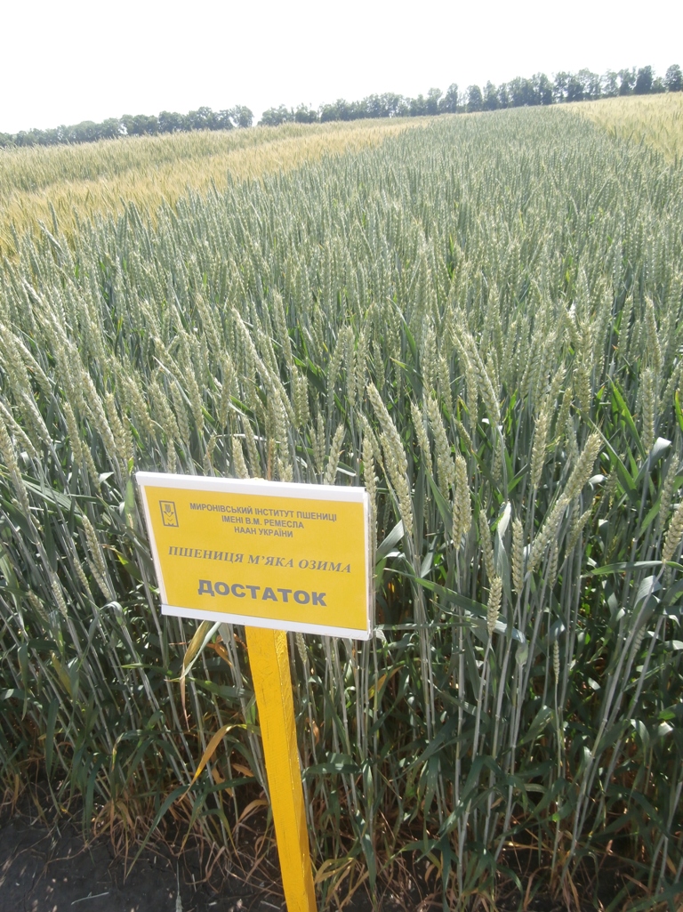 P6150096