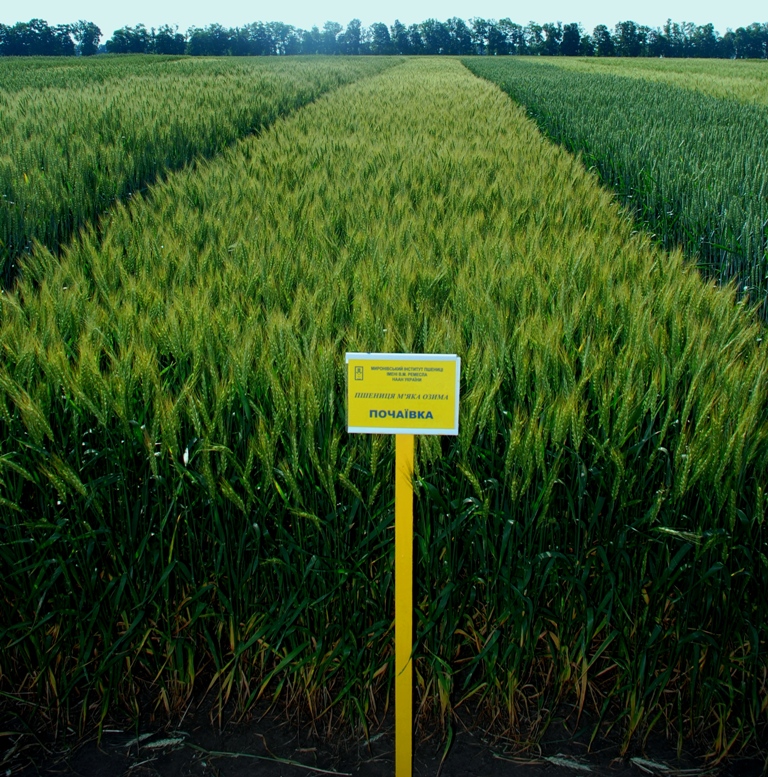 DSC 5403